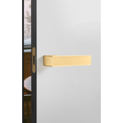 Magnetna ključavnica za lesena vrata